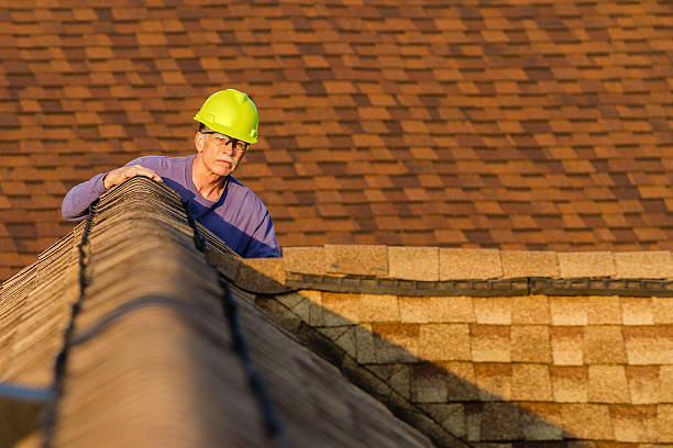 Best Best Roofing Contractors  in Wakefield, NE
