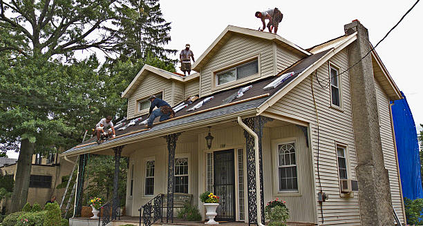 Best New Roof Installation  in Wakefield, NE